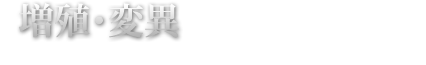 増殖・変異 最大で27分裂のチャンス!！ 上乗せしたゲーム数がレバーONで分裂して増殖！